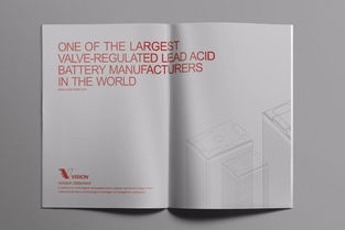 深圳廣告與設(shè)計策劃服務(wù)概述 福永、黃田、興圍、三圍廣告公司及軟件開發(fā)